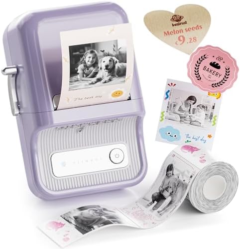 NIIMBOT Etikettendrucker B21 Pro, 300dpi Bluetooth Beschriftungsgerät für Lernen und Scrapbooking, Lila