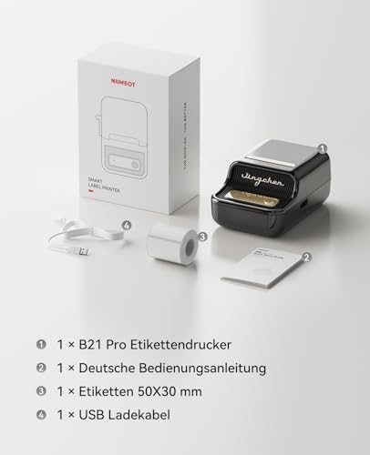 NIIMBOT B21Pro Etikettendrucker – 300 DPI Hochauflösende Etiketten fürs Büro, Zuhause & DIY-Projekte
