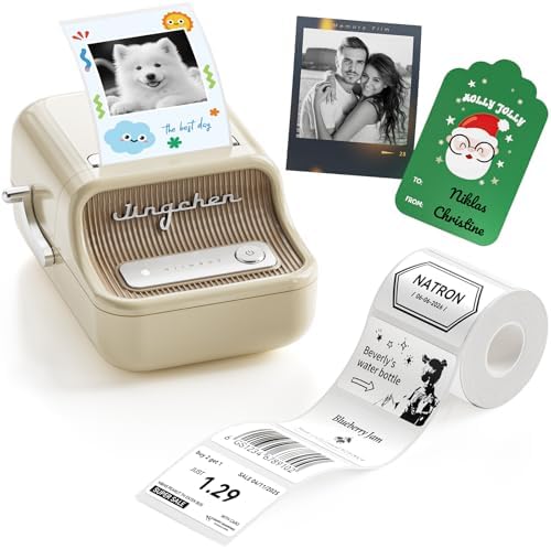 NIIMBOT B21Pro Etikettendrucker – 300 DPI Hochauflösende Etiketten fürs Büro, Zuhause & DIY-Projekte