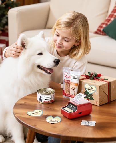 NIIMBOT B21Pro Etikettendrucker – 300 DPI Hochauflösende Etiketten fürs Büro, Zuhause & DIY-Projekte