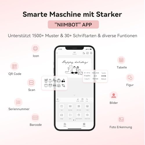 NIIMBOT B21 Etikettendrucker – Tragbares Bluetooth-Beschriftungsgerät für Büro & Einzelhandel, schwarz