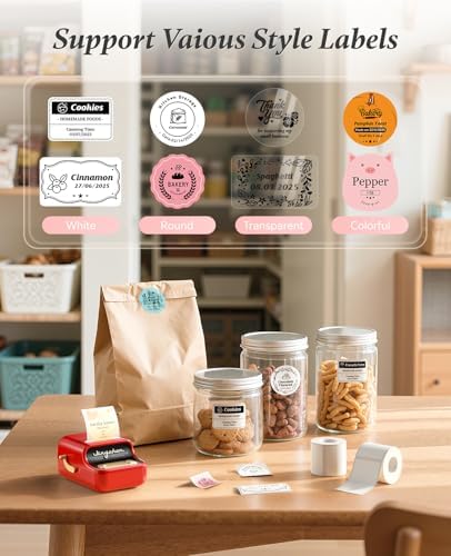 NIIMBOT B21Pro Etikettendrucker – 300 DPI Hochauflösende Etiketten fürs Büro, Zuhause & DIY-Projekte