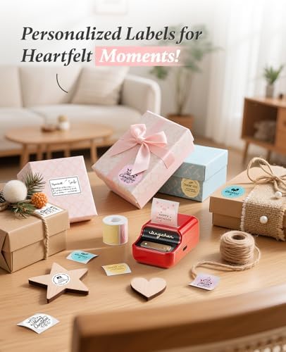 NIIMBOT B21Pro Etikettendrucker – 300 DPI Hochauflösende Etiketten fürs Büro, Zuhause & DIY-Projekte