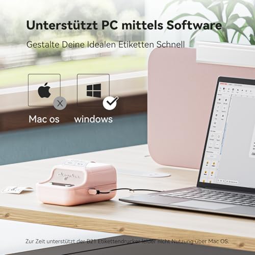 NIIMBOT B21 Etikettendrucker – Tragbares Bluetooth-Beschriftungsgerät für Büro & Einzelhandel, schwarz