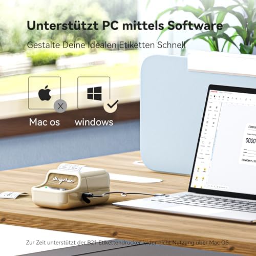 NIIMBOT B21 Etikettendrucker – Tragbares Bluetooth-Beschriftungsgerät für Büro & Einzelhandel, schwarz