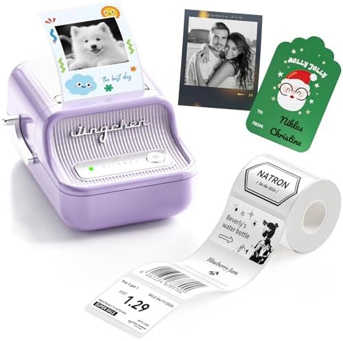 NIIMBOT B21Pro Etikettendrucker – 300 DPI Hochauflösende Etiketten fürs Büro, Zuhause & DIY-Projekte