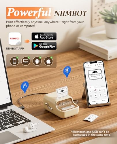 NIIMBOT B21Pro Etikettendrucker – 300 DPI Hochauflösende Etiketten fürs Büro, Zuhause & DIY-Projekte