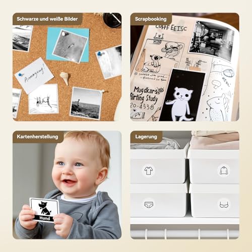 NIIMBOT B21 Etikettendrucker – Tragbares Bluetooth-Beschriftungsgerät für Büro & Einzelhandel, schwarz