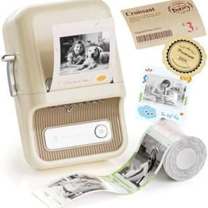 NIIMBOT B21Pro Etikettendrucker 300dpi – Bluetooth Beschriftungsgerät für Lernen, Notizen und Scrapbooking, Weiß