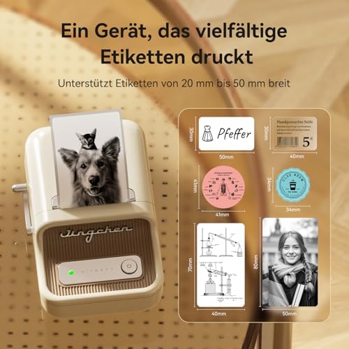NIIMBOT B21 Etikettendrucker – Tragbares Bluetooth-Beschriftungsgerät für Büro & Einzelhandel, schwarz