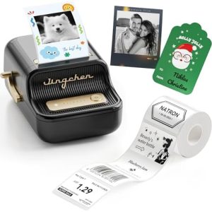 NIIMBOT B21Pro Etikettendrucker – 300 DPI Hochauflösende Etiketten fürs Büro, Zuhause & DIY-Projekte